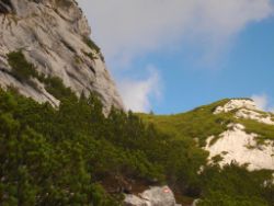 2013-10-08_Guffert (072)b.JPG